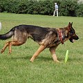 PP Agility Białystok 22.07.2007