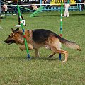 PP Agility Białystok 22.07.2007