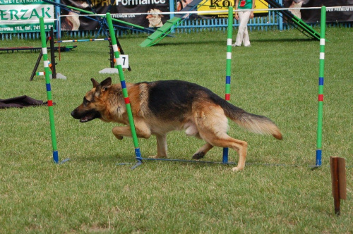 PP Agility Białystok 22.07.2007