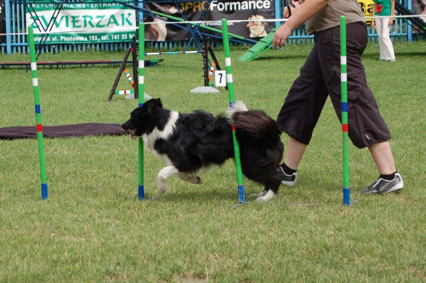 PP Agility Białystok 22.07.2007