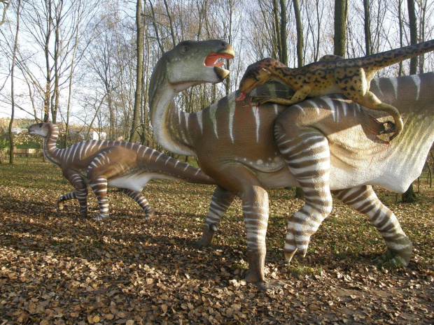 Zoo troszeczkę inaczej :-) #dinozaury #historia #JurassicPark #natura #zwierzęta