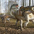 Zoo troszeczkę inaczej :-) #dinozaury #historia #JurassicPark #natura #zwierzęta
