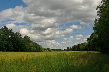 Znowu nadciagaja chmury , ale czy bedzie padac ? Jak to mowia z duzej chmury maly deszcz.... #chmury #laki