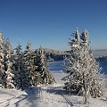 pieniny