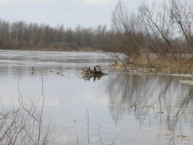 karczew koło Otwocka #KarczewWiosnaNadRzeką