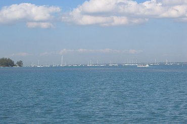 Floryda,beach,sarasota,
spiral #Floryda #beach #sarasota