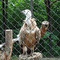 Nasze wszystkie dzieci i wnuki w łódzkim zoo