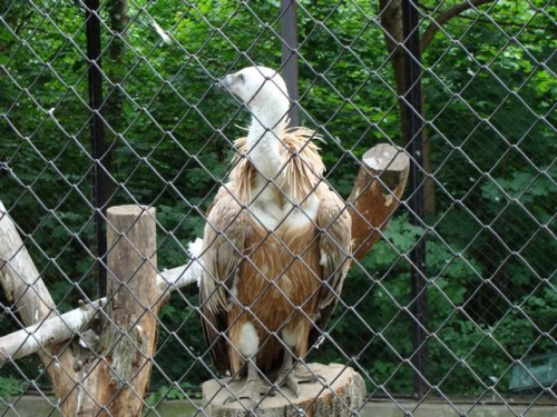 Nasze wszystkie dzieci i wnuki w łódzkim zoo