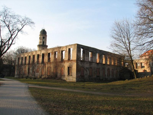 Ruiny zamku w Strzelcach Opolskich