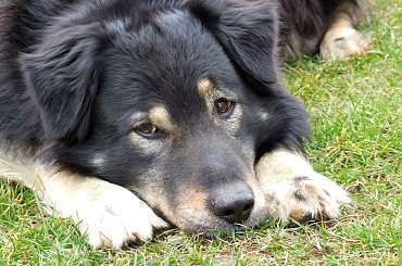 Wiosna #Wiosna #natura #przyroda #Rochowczyk #Franciszek #zwierzęta